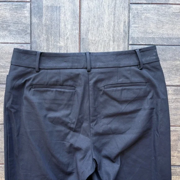 $18 NWT Ann Taylor Dress Pants SZ 10 - Picture 2 of 4